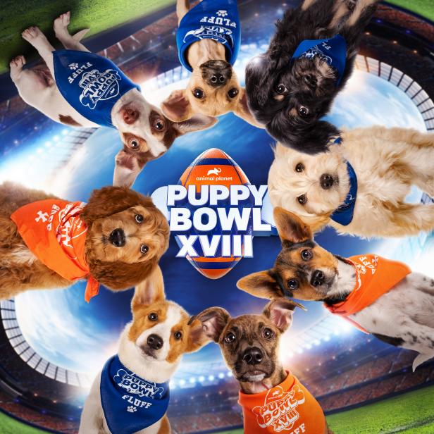 Martha Stewart and Snoop Dogg Returning to Host the Puppy Bowl