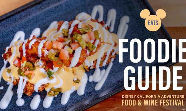 Disney California Adventure Food & Wine Festival 2024 Guide!