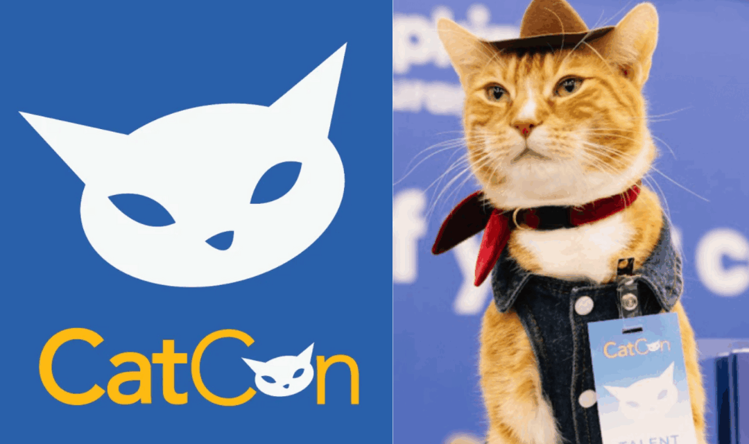 The 5 Best Things We Saw At CatCon