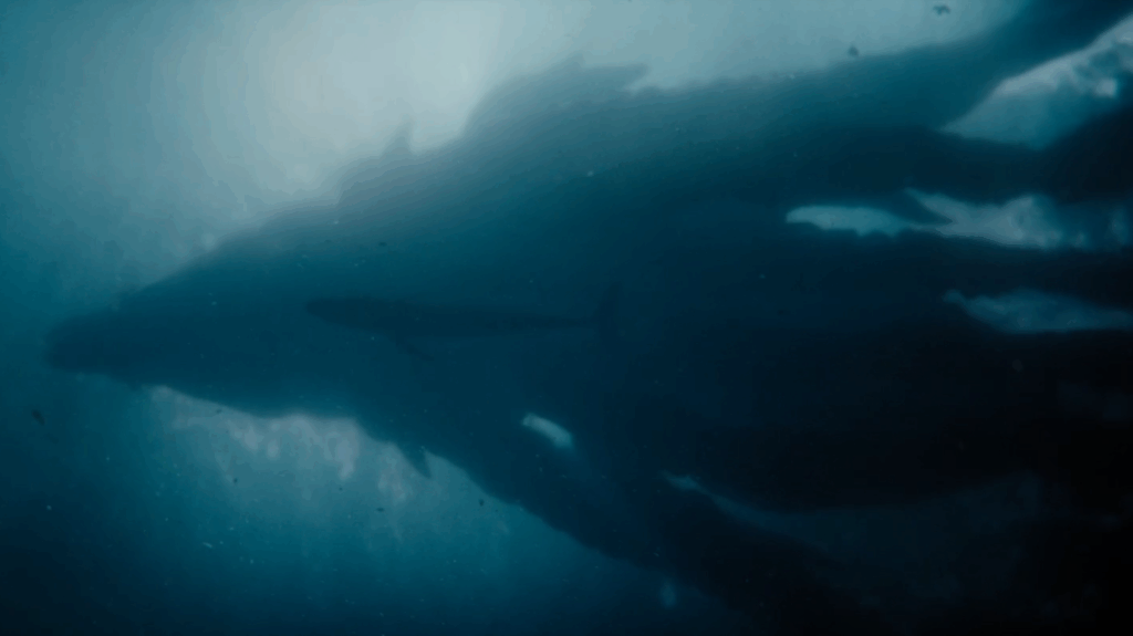 Monarch: Legacy of Monsters