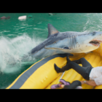 New Trailer For Planecrash Shark Movie ‘Deep Water’ From Renny Harlin Thrills And Gills