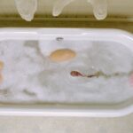 ‘Slither’ Heads To SteelBook For 20th Anniversary 4K Re-Release